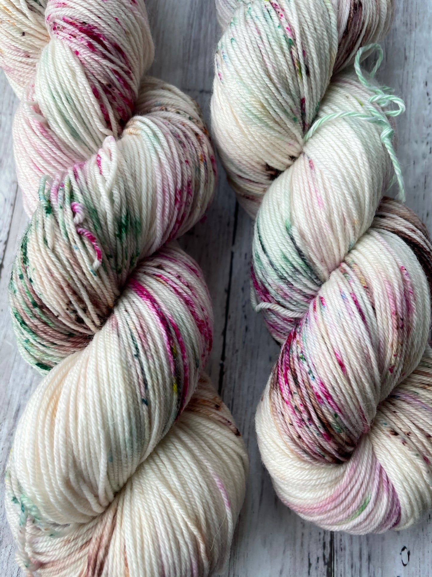 Trifle (Friends Collection) - Chief - Hand Dyed Sock Yarn
