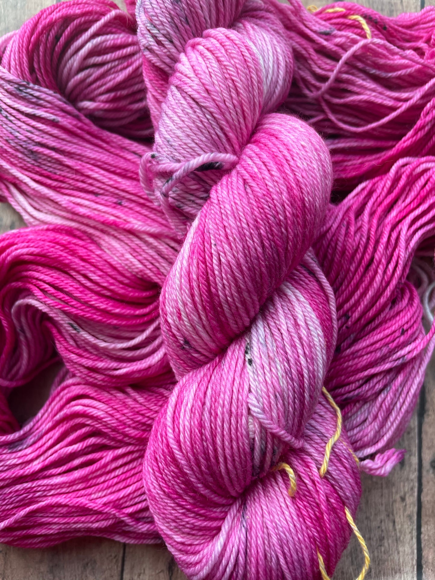 Rambunctious - Drizzy DK - hand dyed yarn