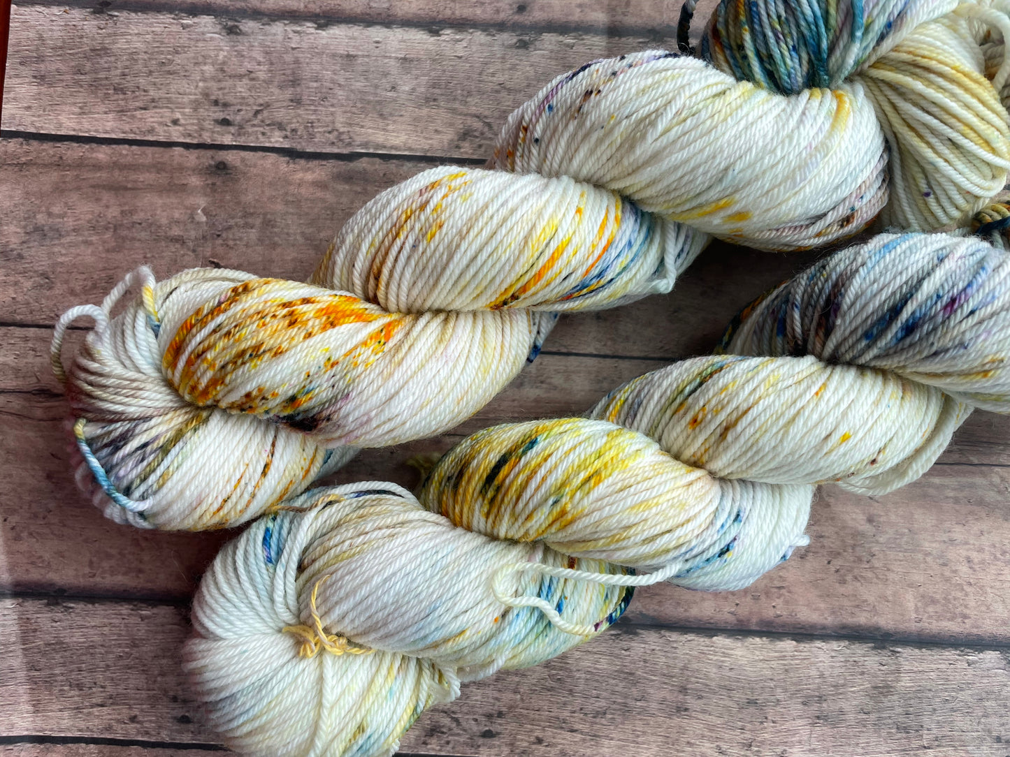 Tale as Old as Time - Drizzy DK - hand dyed yarn