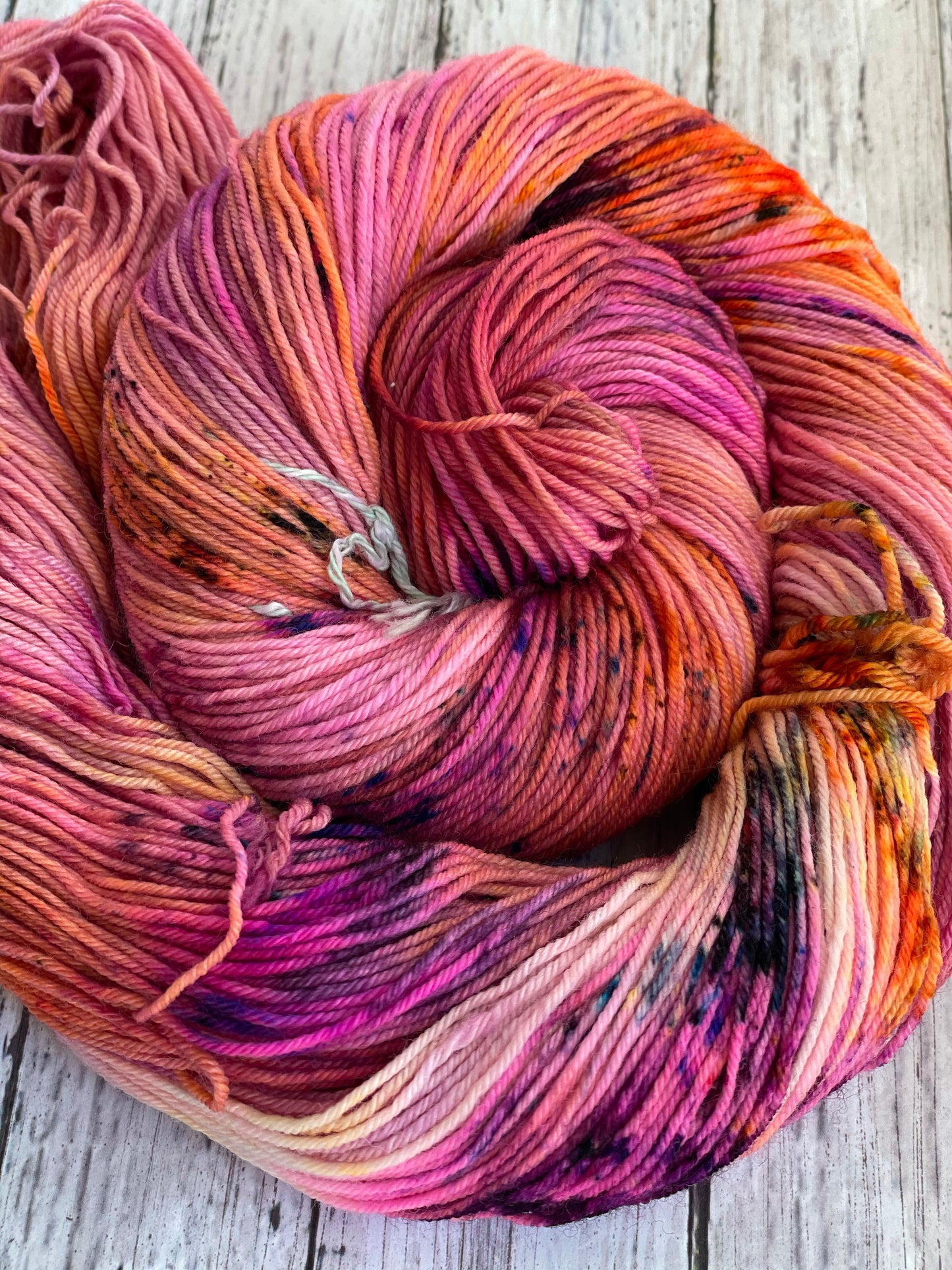 Forever Susan - Chief - Hand Dyed Sock Yarn