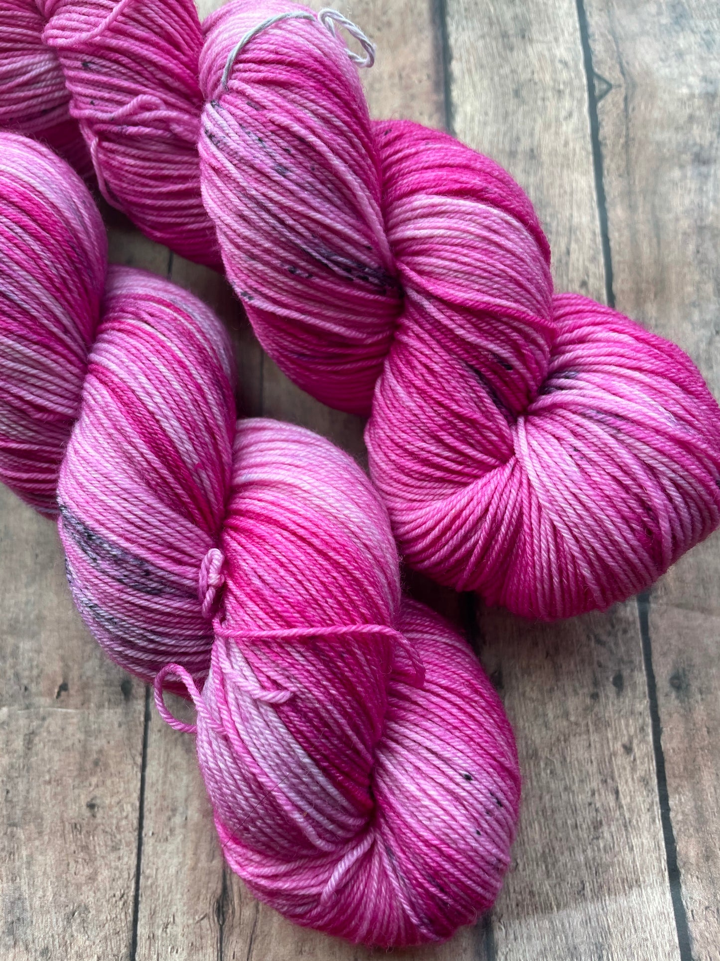 Rambunctious - Chief - Hand Dyed Sock Yarn