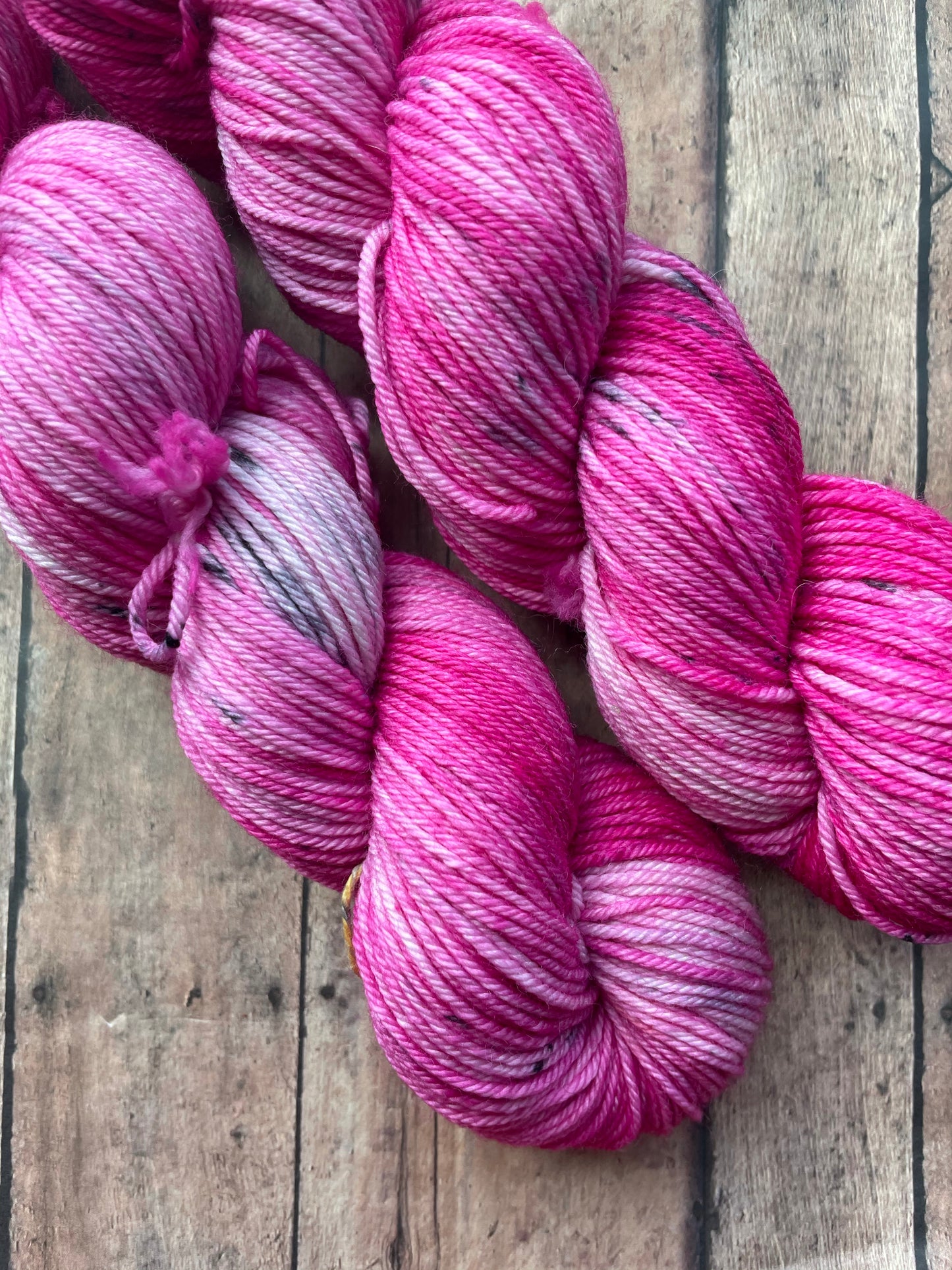Rambunctious - Drizzy DK - hand dyed yarn