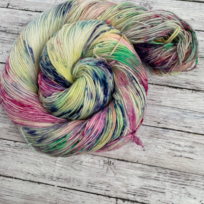Don't Stop Believing - Chief - Hand Dyed Sock Yarn