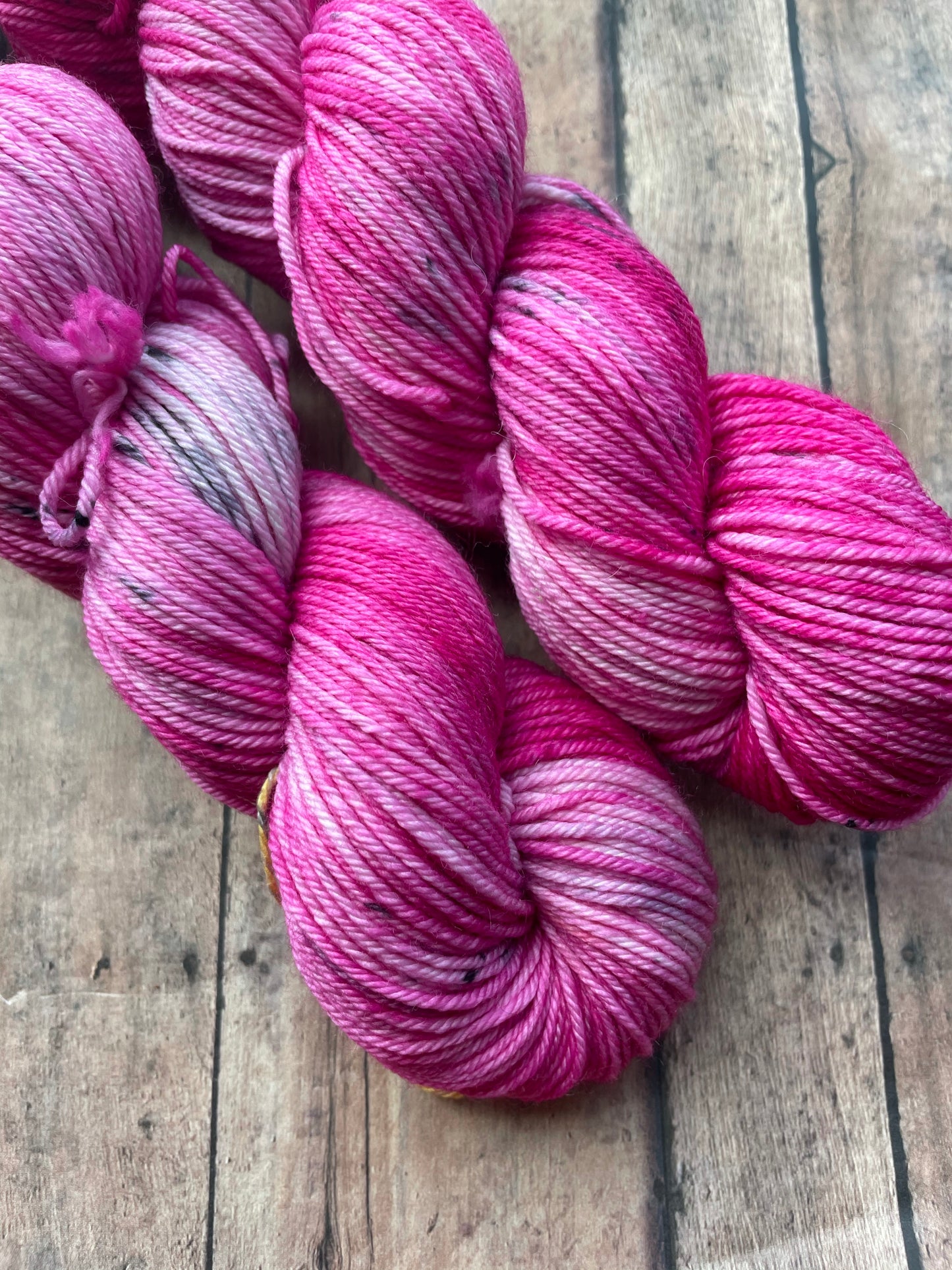 Rambunctious - Drizzy DK - hand dyed yarn