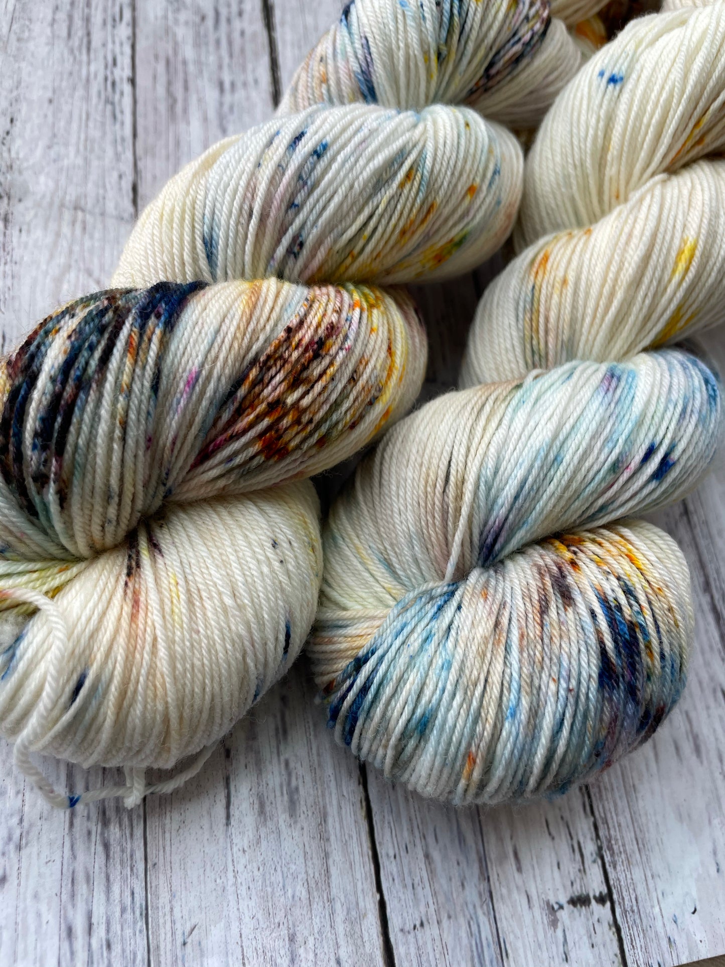 Tale as Old as Time - Chief - Hand Dyed Sock Yarn